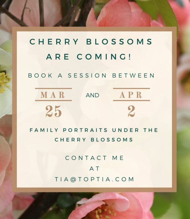 TopTia Cherry Blossom Ad